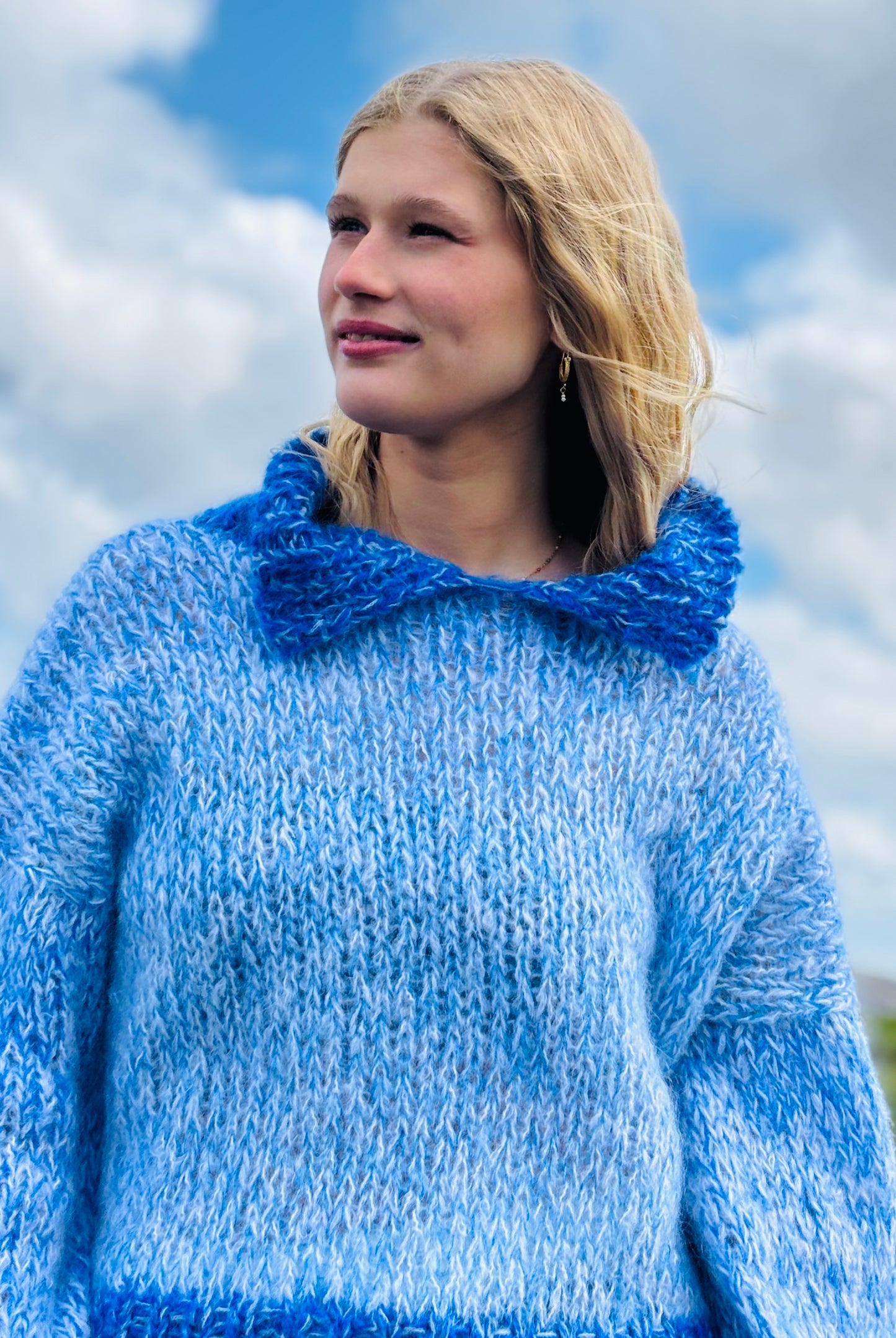 Polo sweater