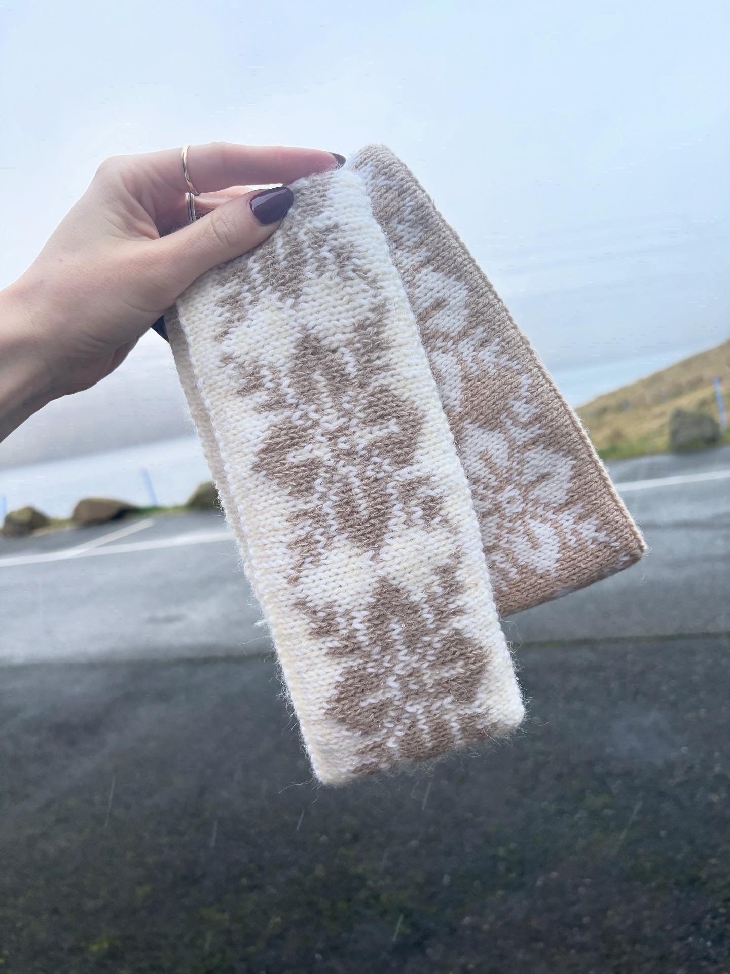 Barksólja pannuband