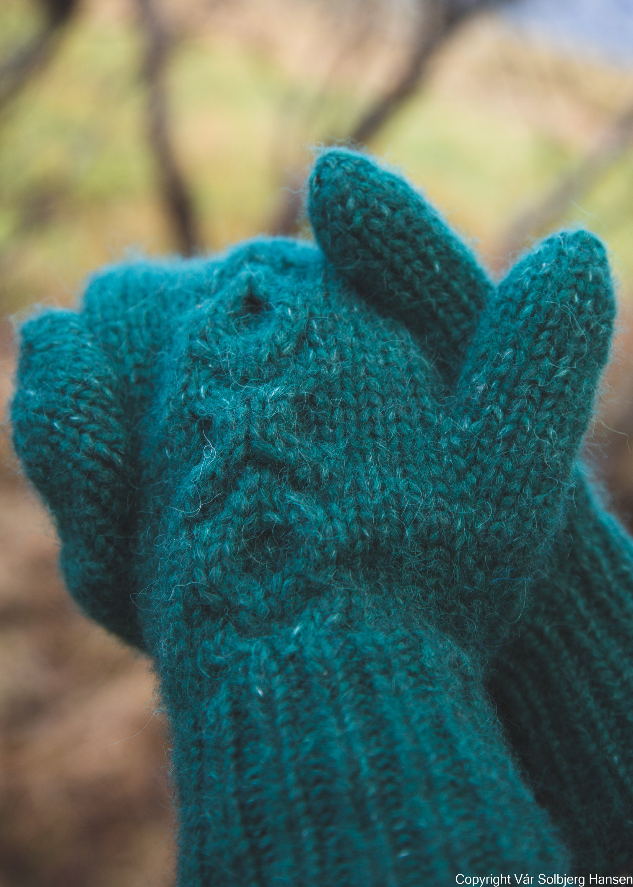 Muss og klemm - vøttir og pannuband