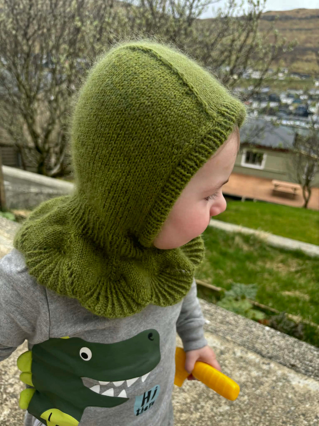 Nykursrósa - brølapa