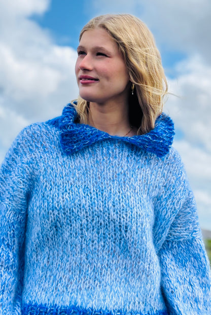 Polo sweater