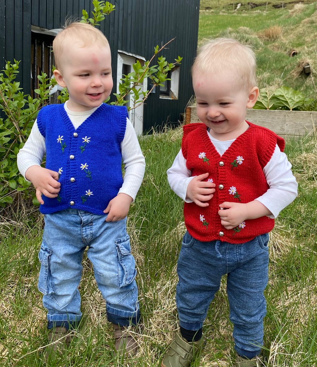 Two young boys wearing blue and red knitted vests standing in a grassy outdoor setting.