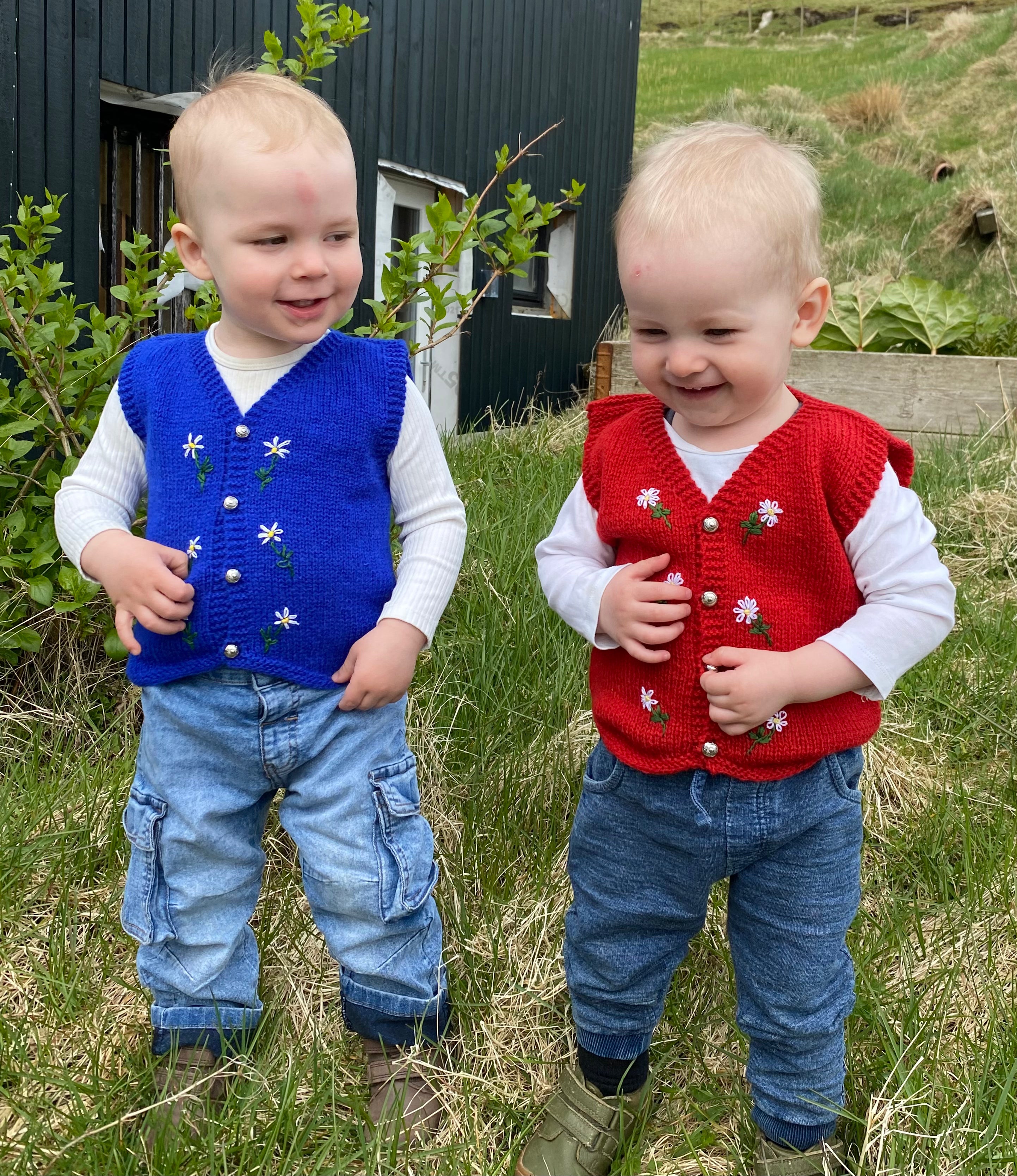 Two young boys wearing blue and red knitted vests standing in a grassy outdoor setting.